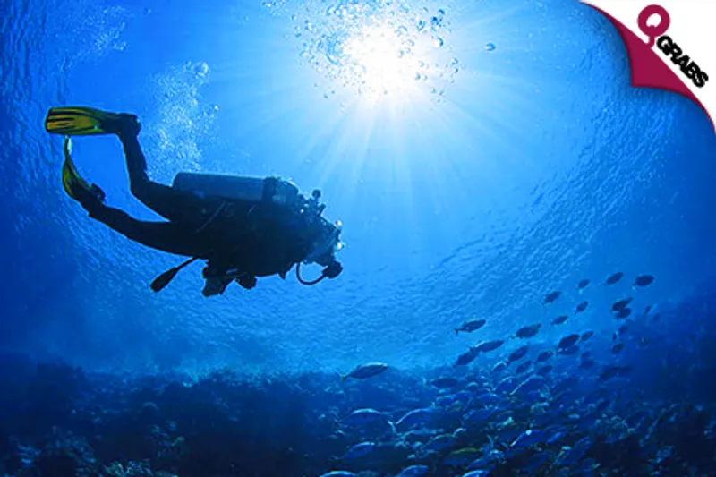 From QR150 Feel the Ocean with Trial Scuba Diving OR Open Water Diver Course OR Scuba Diving Theme Parties! (Up to QR2400 Value)